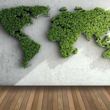 Terrasse aus Cumaru Braun