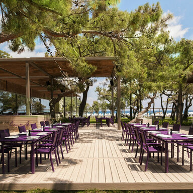 Hotel Terrasse aus WPC Diele Lifecycle Tigerwood